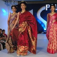 Palam Silk Fashion Show 2011 Pictures | Picture 74217